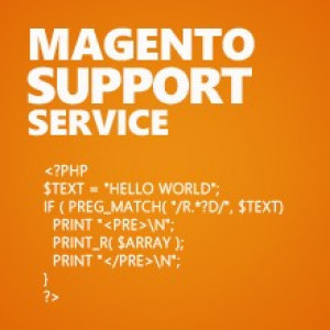 Magento Support Service
